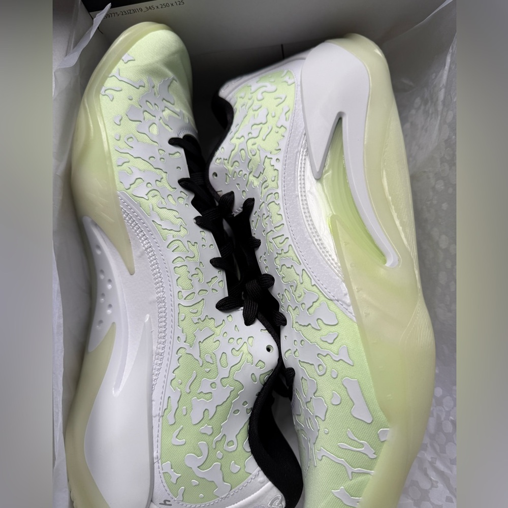 Air Jordan Zion No Guts, brand new.